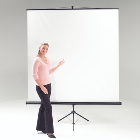 Metroplan Eyeline Basic Tripod Portable Projection Screen